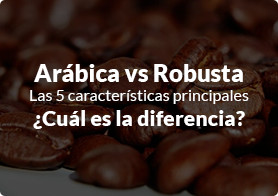 arabica vs robusta las principales diferencias